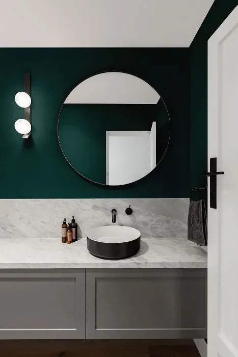 Benjamin Moore Mallard Green minimalist bathroom