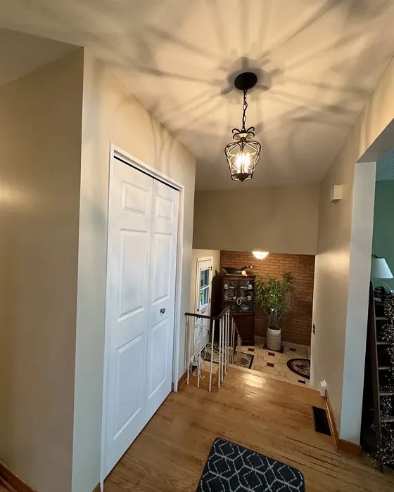 Manchester Tan hallway color review