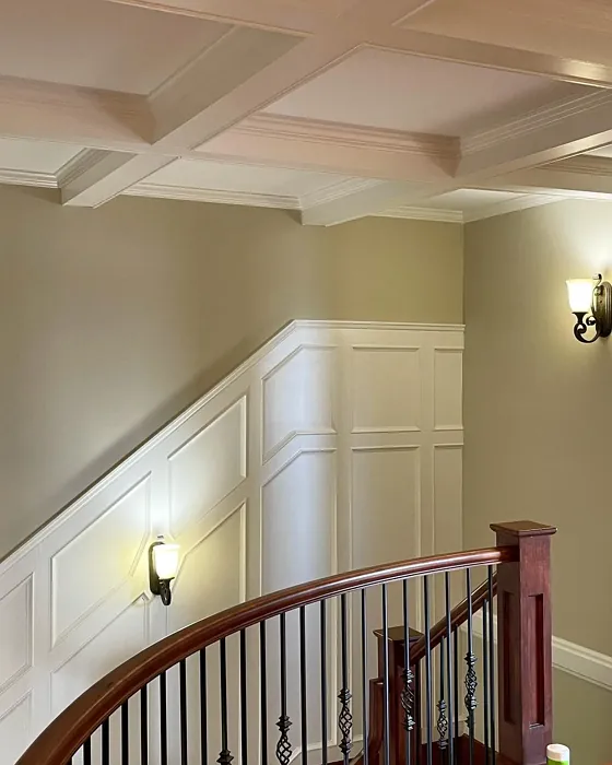 Manchester Tan hallway review