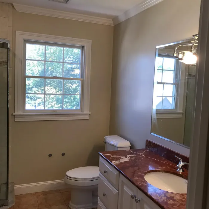 Manchester Tan bathroom color