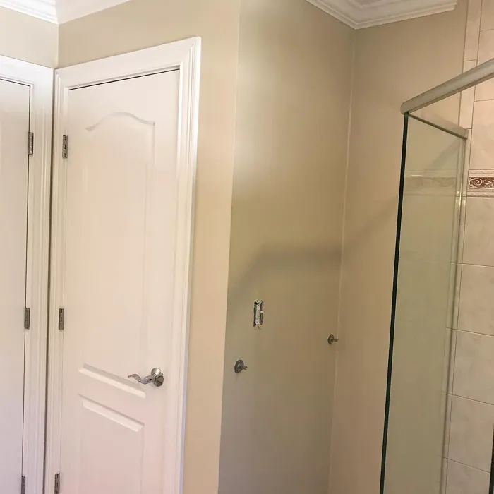 Manchester Tan bathroom color review