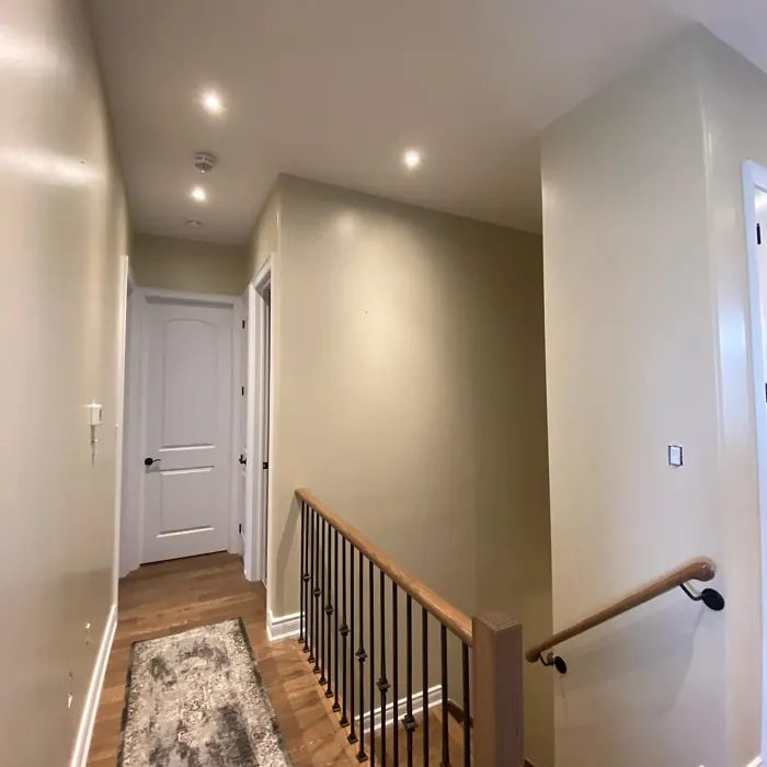 Manchester Tan hallway color review