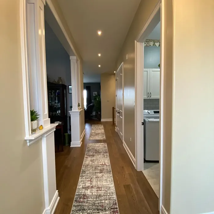 Benjamin Moore Manchester Tan hallway paint review