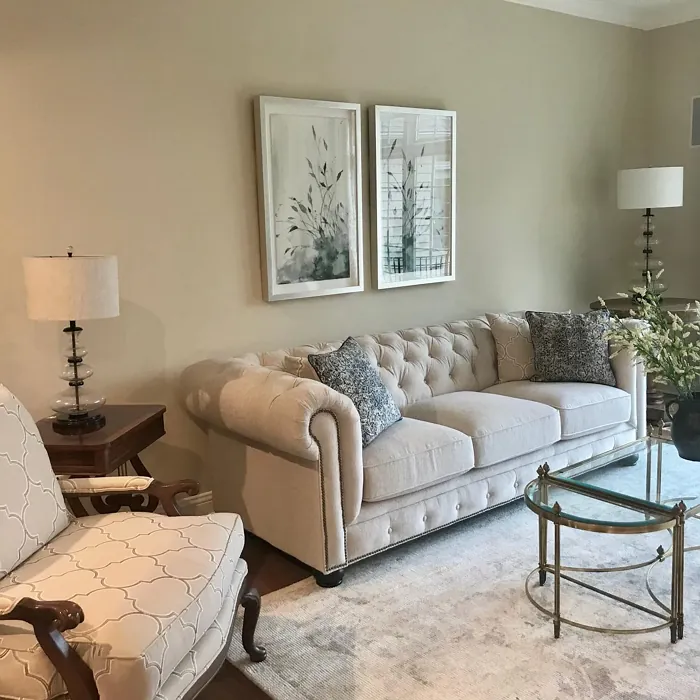 Benjamin Moore Manchester Tan living room inspiration