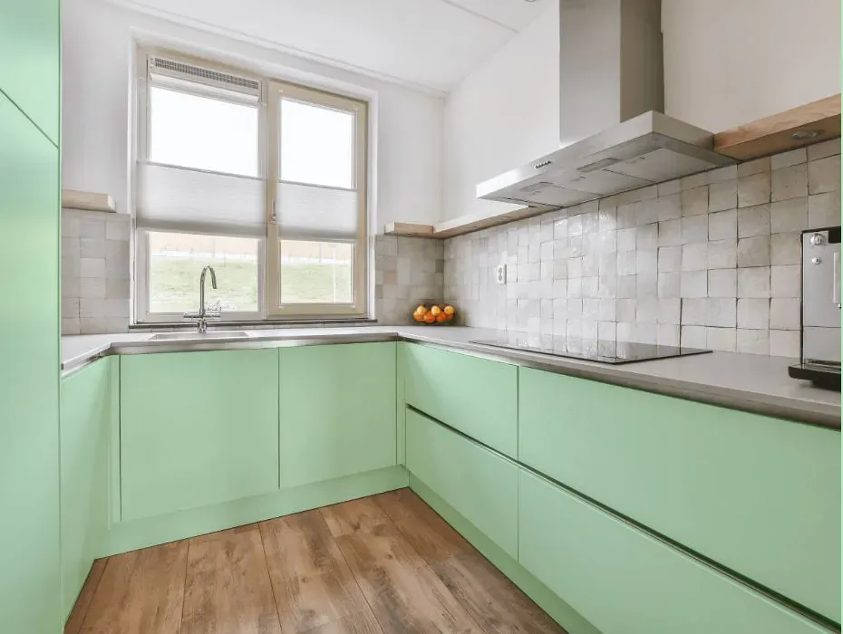 Benjamin Moore Mantis Green small kitchen cabinets