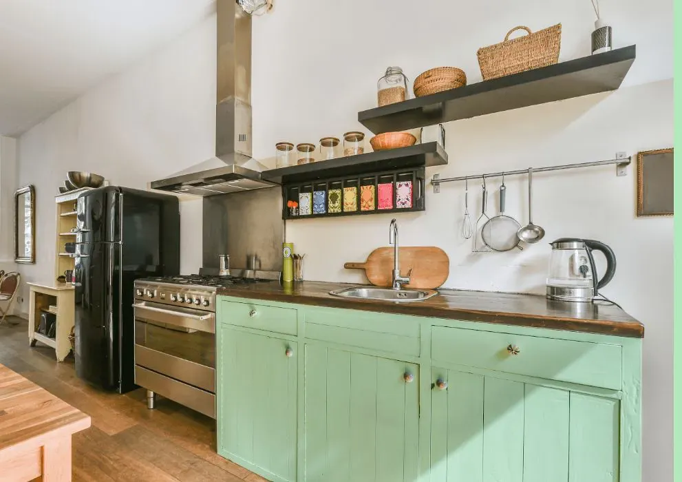 Benjamin Moore Mantis Green kitchen cabinets