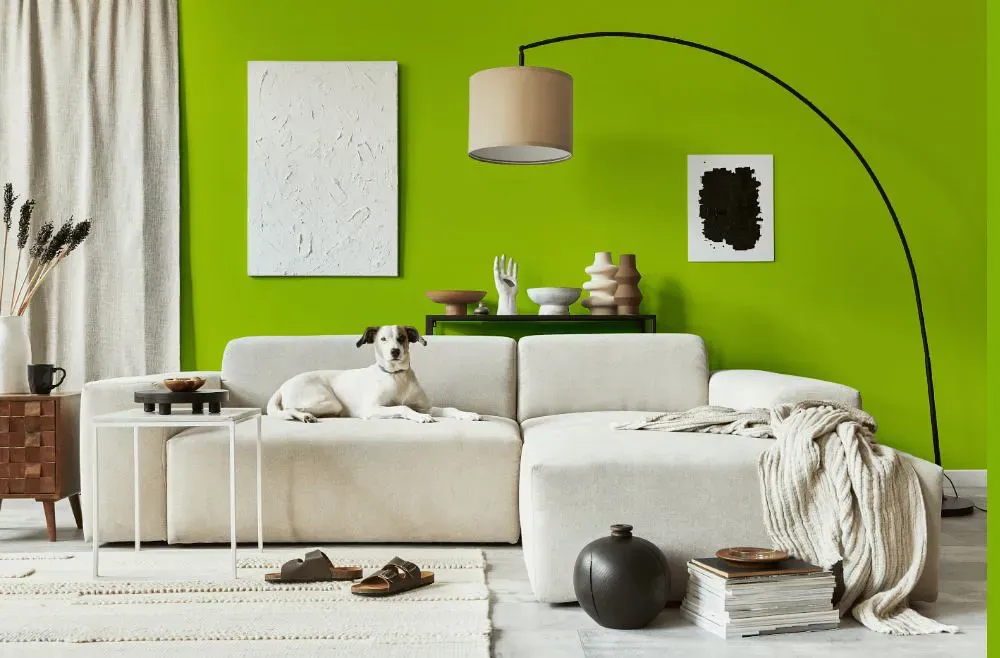 Benjamin Moore Margarita cozy living room