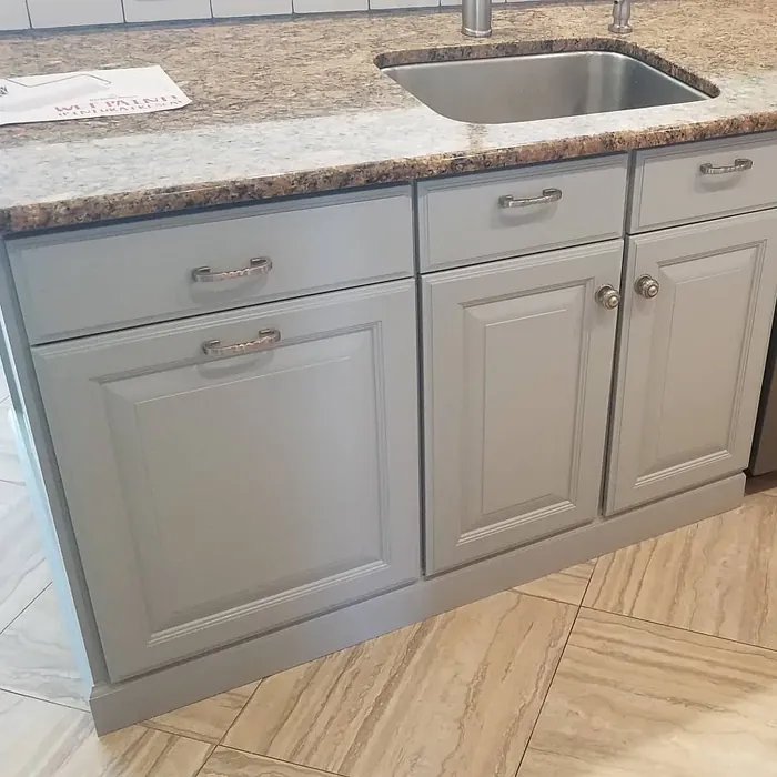 Marina Gray Kitchen Cabinets