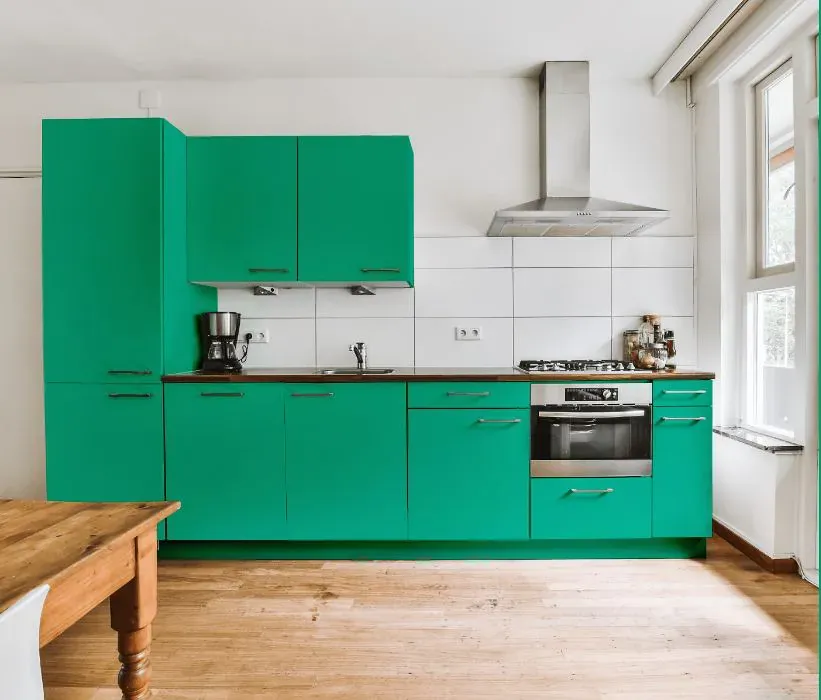 Benjamin Moore Mayan Green kitchen cabinets