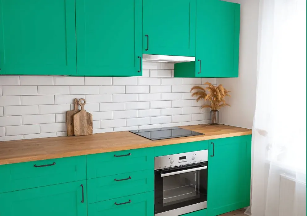 Benjamin Moore Mayan Green kitchen cabinets