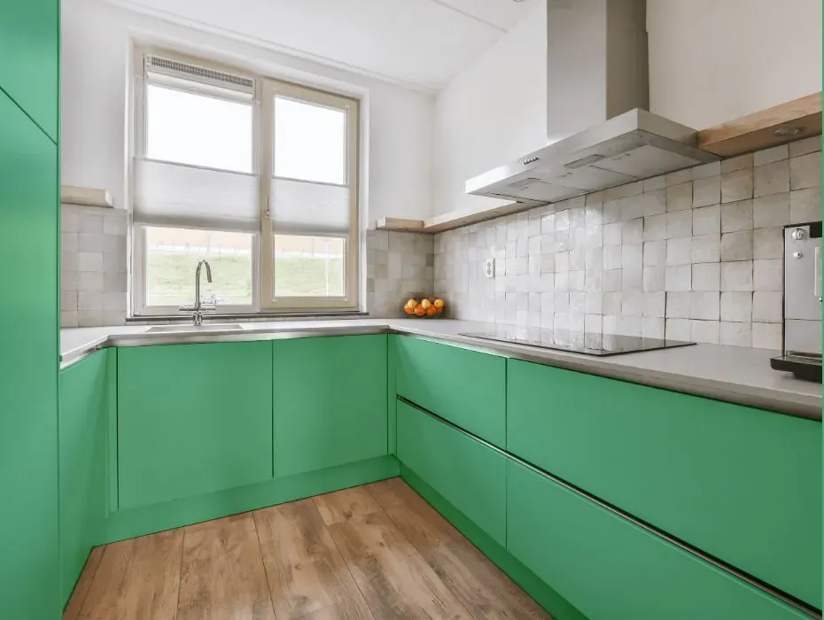 Benjamin Moore Meadowlands Green small kitchen cabinets