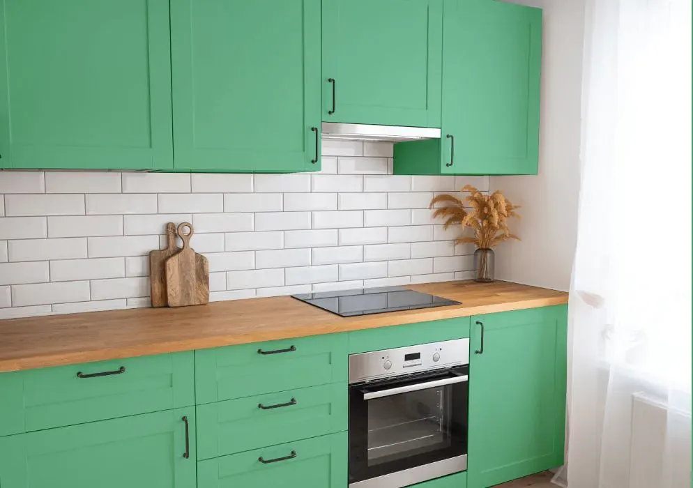 Benjamin Moore Meadowlands Green kitchen cabinets