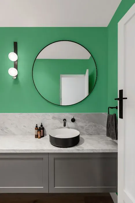 Benjamin Moore Meadowlands Green minimalist bathroom