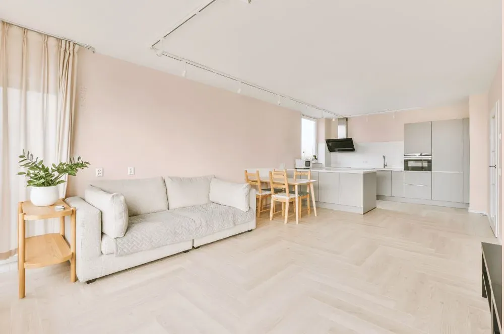 Benjamin Moore Mellow Pink living room interior