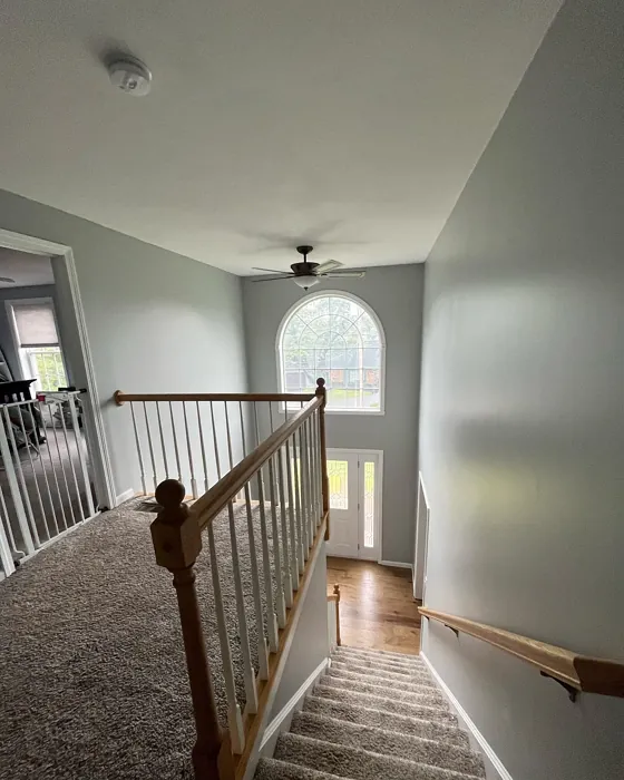 Benjamin Moore AF-690 hallway review