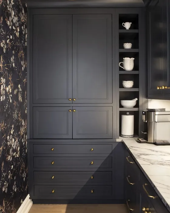 Benjamin Moore Midnight Blue kitchen cabinets 