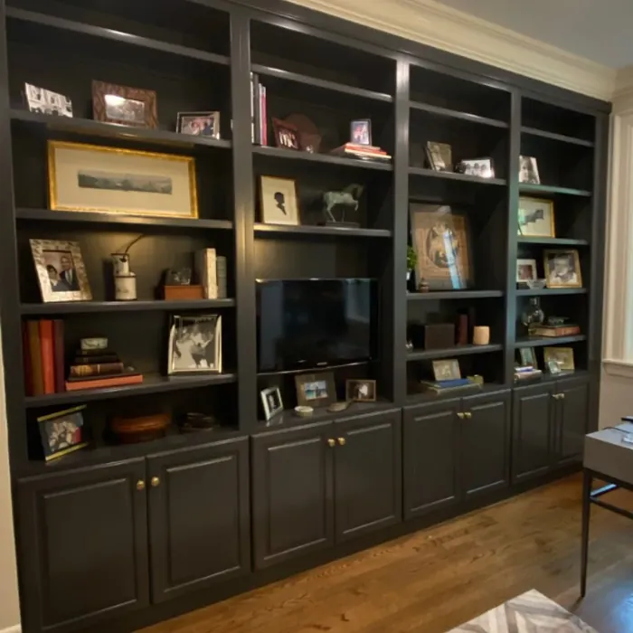 Benjamin Moore Midnight Oil painted cabinets 