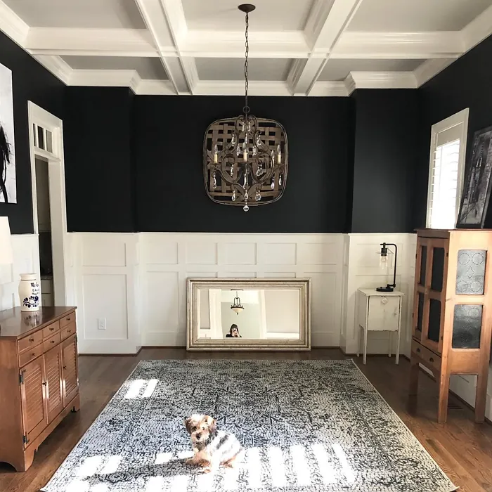 Benjamin Moore Midnight Oil wall paint 