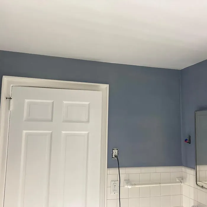 Benjamin Moore Mineral Alloy bathroom paint review