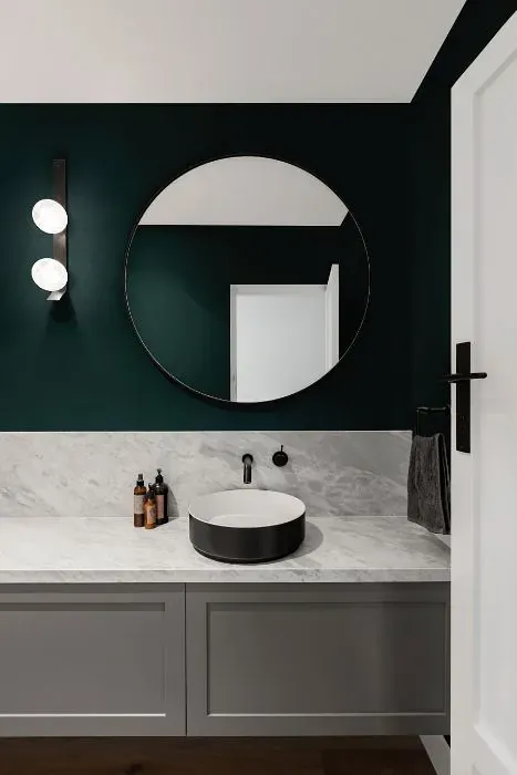Benjamin Moore Miramichi minimalist bathroom