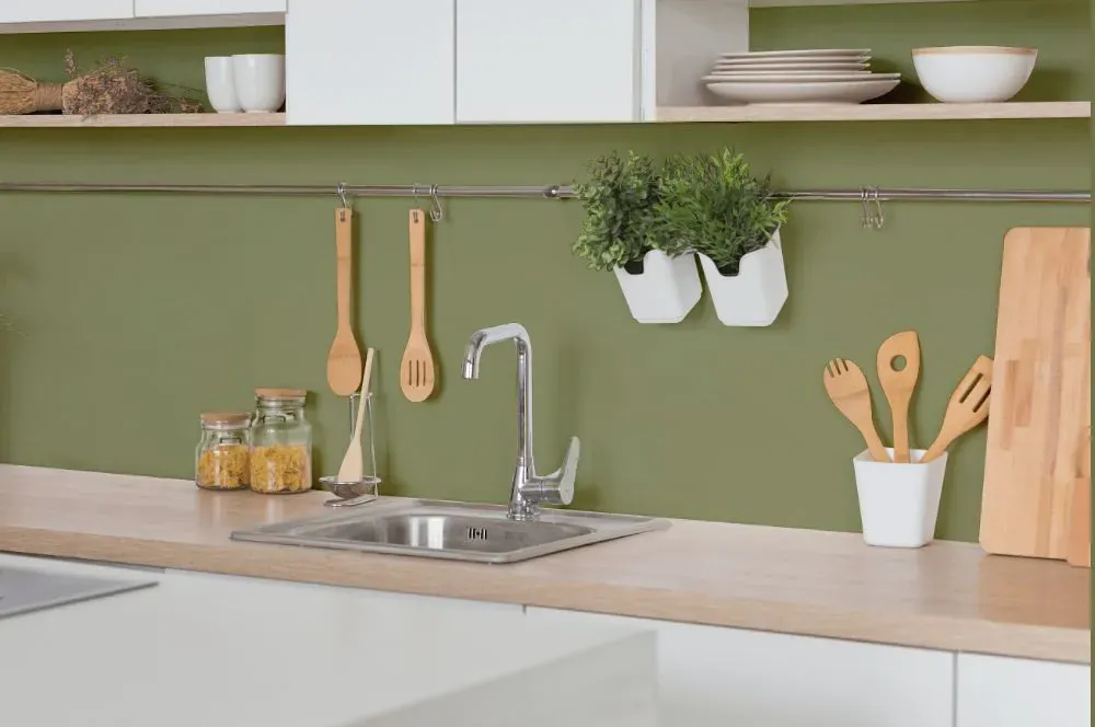 Benjamin Moore Misted Fern kitchen backsplash