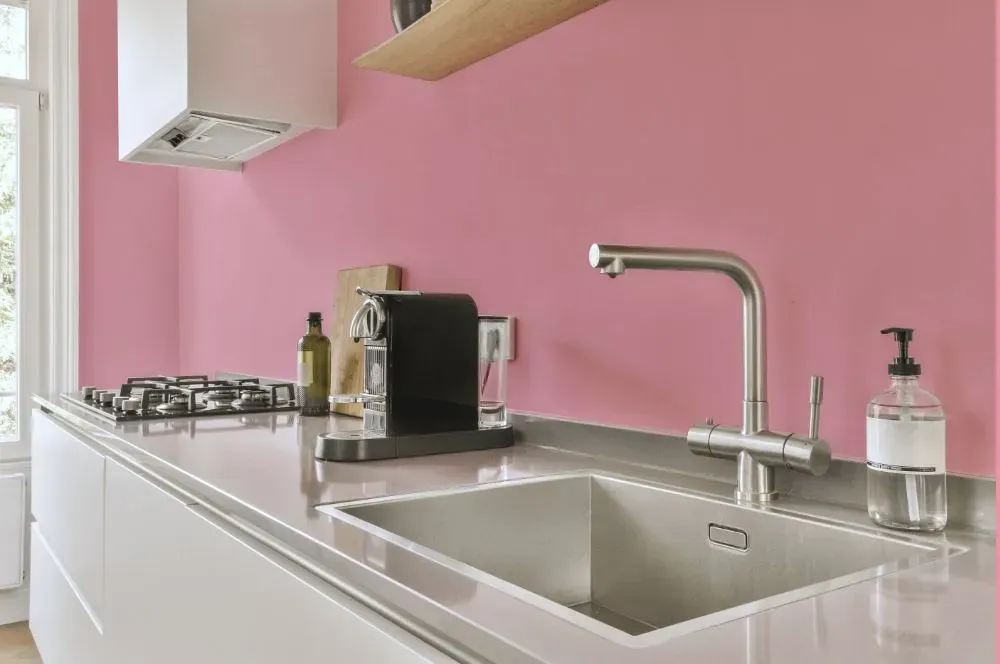 Benjamin Moore Misted Rose kitchen painted backsplash