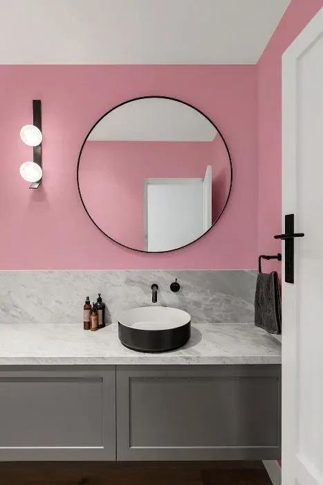 Benjamin Moore Misted Rose minimalist bathroom