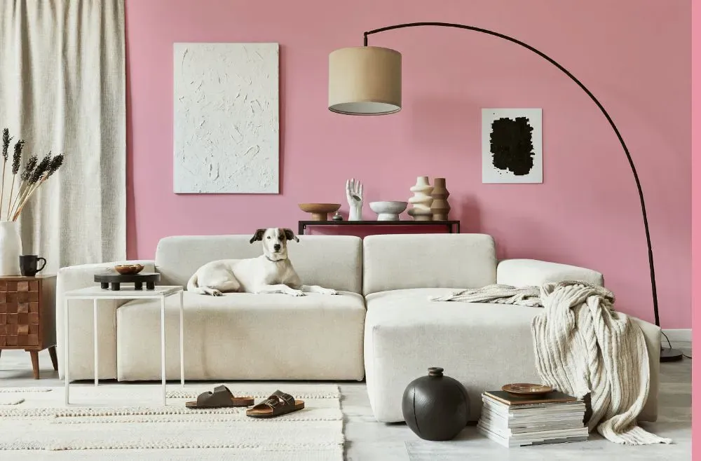 Benjamin Moore Misted Rose cozy living room