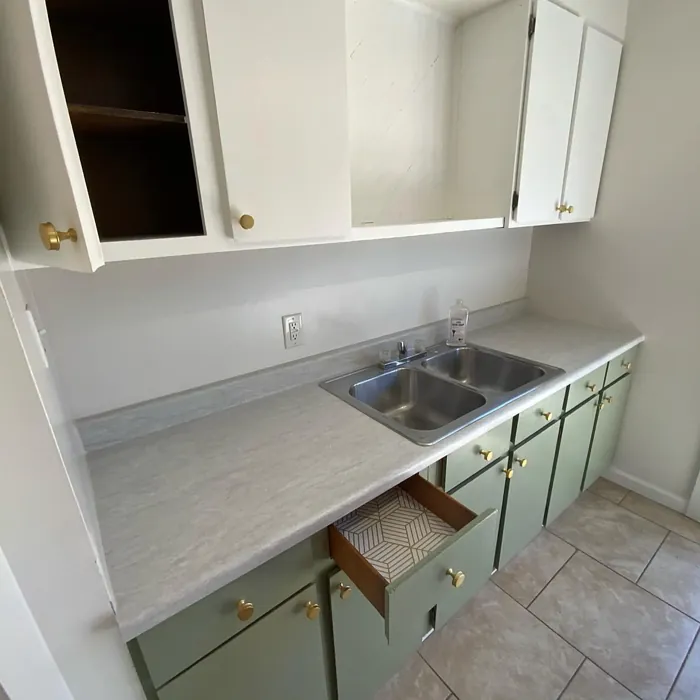 Benjamin Moore Mistletoe Kitchen Cabinets