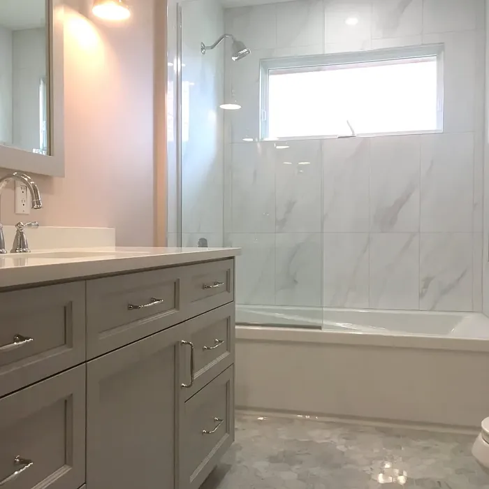 Benjamin Moore Misty Blush bathroom color