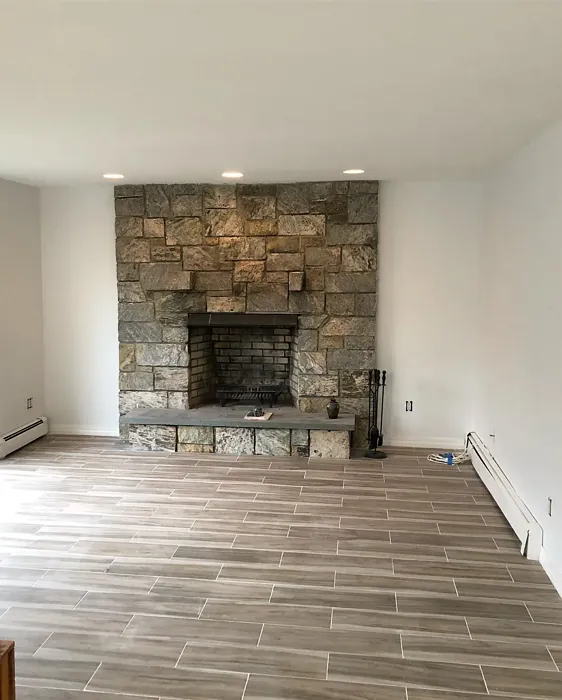 Misty Gray living room fireplace color