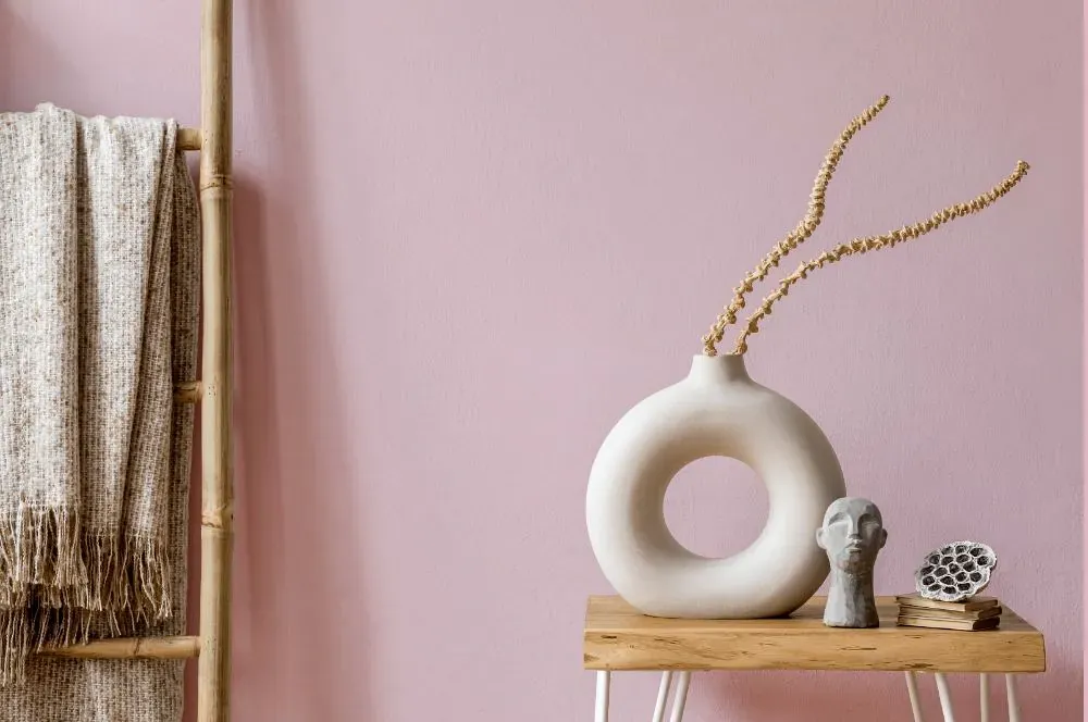 Benjamin Moore Misty Rose wall