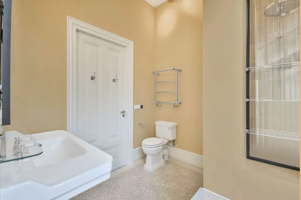 Benjamin Moore Mohave Desert bathroom