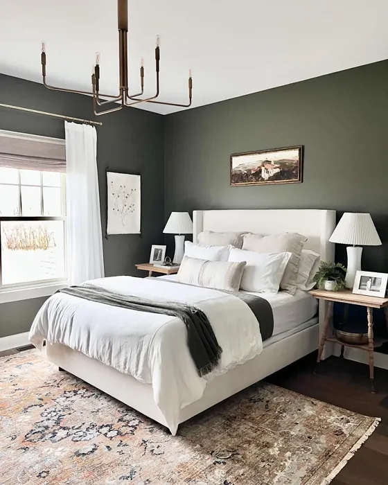 Benjamin Moore Mohegan Sage bedroom color