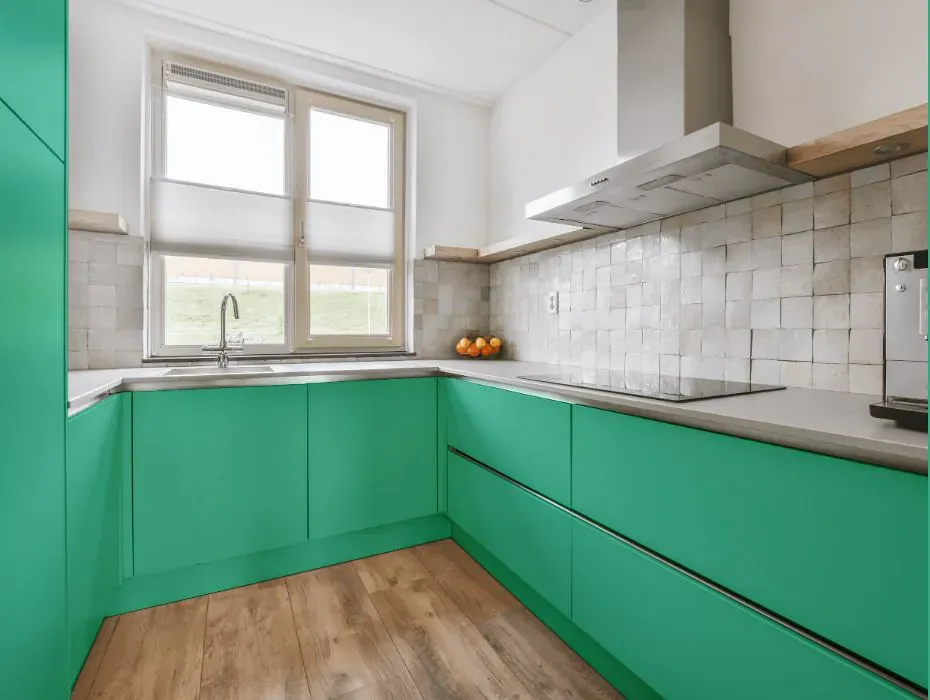 Benjamin Moore Monmouth Green small kitchen cabinets