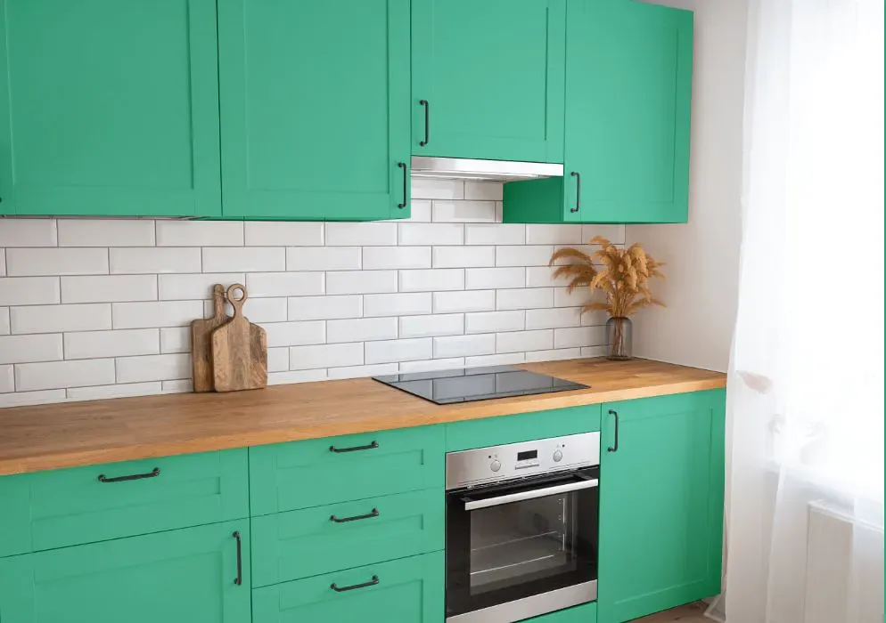 Benjamin Moore Monmouth Green kitchen cabinets