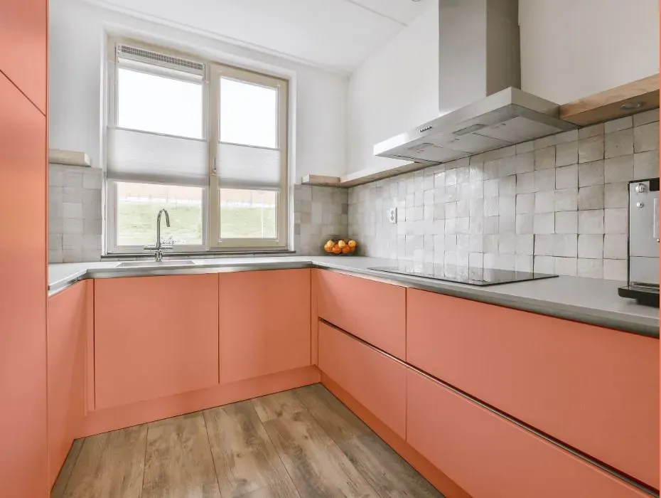 Benjamin Moore Monticello Peach small kitchen cabinets