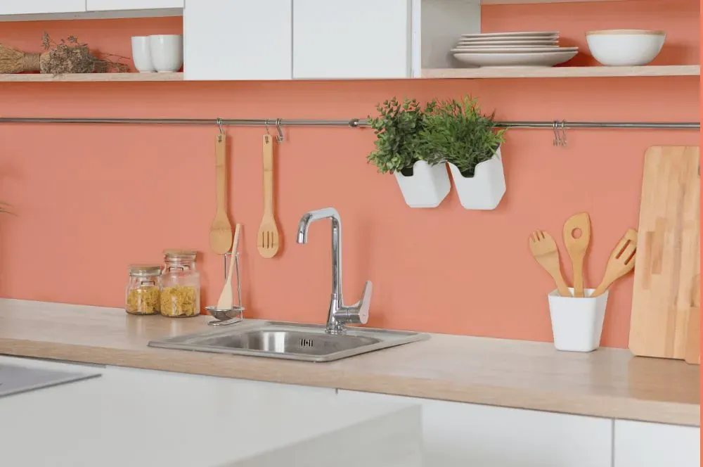 Benjamin Moore Monticello Peach kitchen backsplash