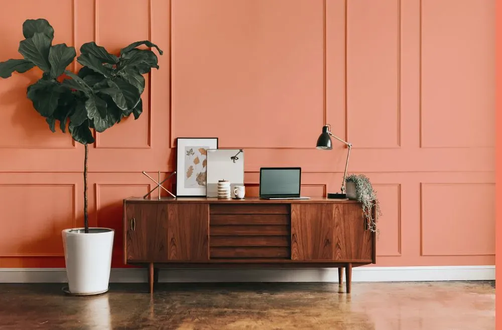 Benjamin Moore Monticello Peach modern interior