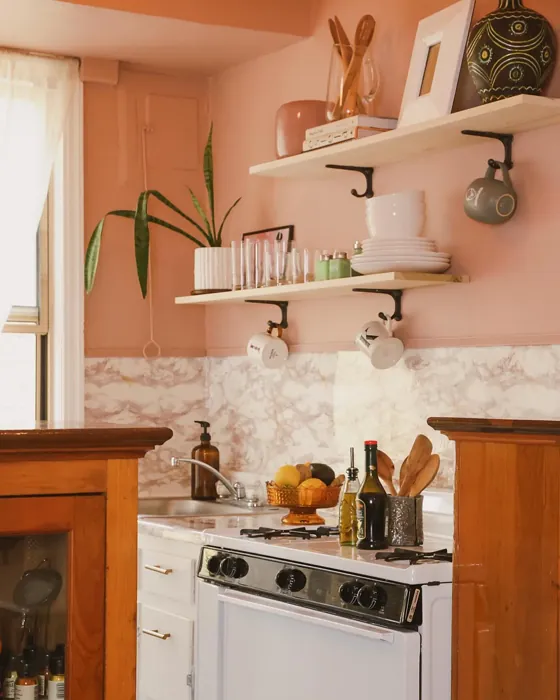 Benjamin Moore Monticello Rose kitchen color