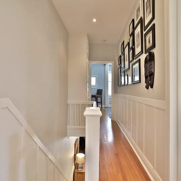 Benjamin Moore Moonshine hallway color