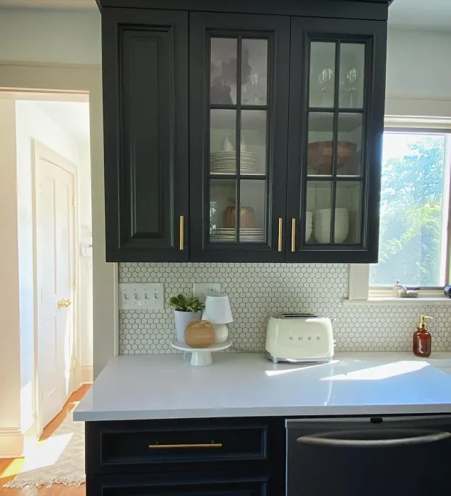 Benjamin Moore Mopboard Black Kitchen Cabinets