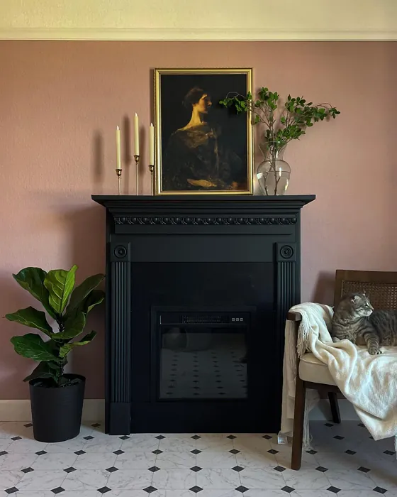 Benjamin Moore Mopboard Black Living Room Fireplace