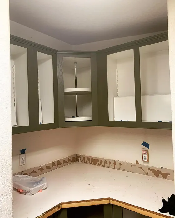 Benjamin Moore Mountain Moss kitchen cabinets 