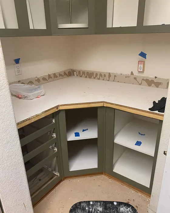 Benjamin Moore Mountain Moss kitchen cabinets color