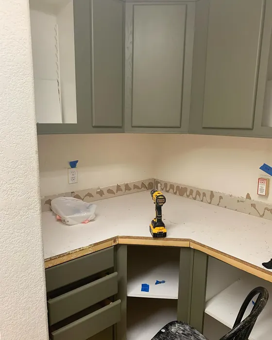 Mountain Moss kitchen cabinets color