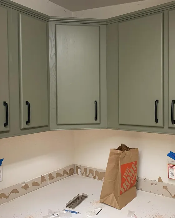 Mountain Moss kitchen cabinets color review