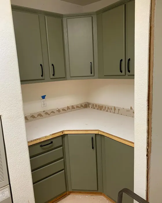 Benjamin Moore Mountain Moss kitchen cabinets review