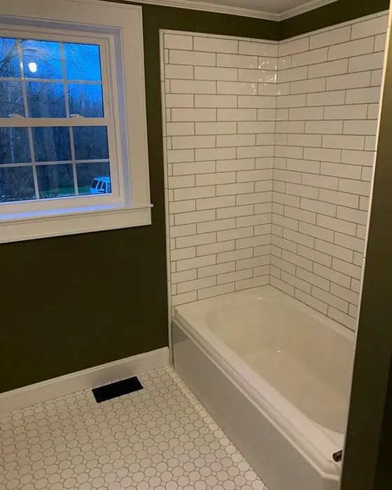 Benjamin Moore Mountain Moss bathroom review