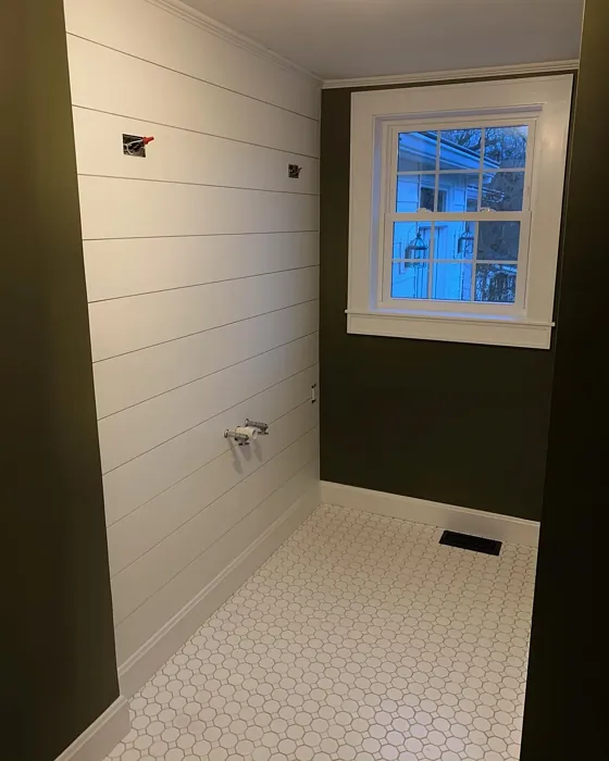 Benjamin Moore Mountain Moss bathroom 